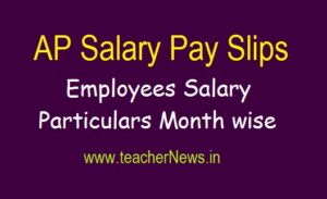 AP Salary Pay Slips 2020 | Salary Particulars Month wise Download 